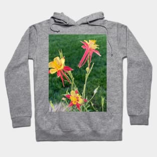 Pink and yellow columbine Hoodie